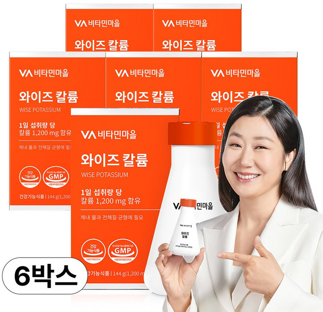 비타민마을 와이즈 칼륨, 120정, 6개