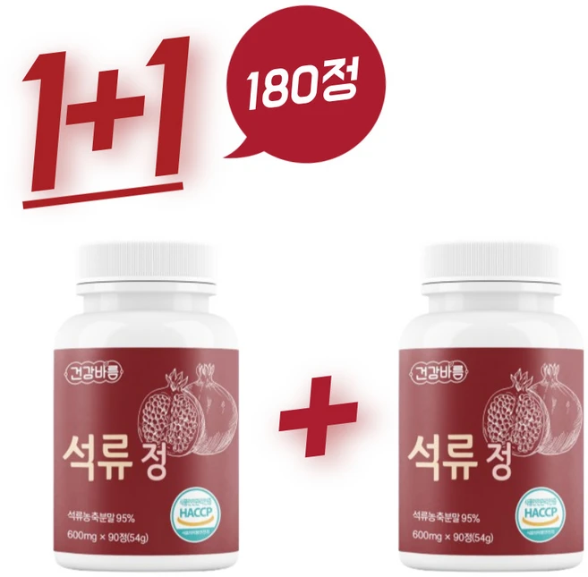 석류 튀르키예 농축분말 농축액 정, 2개 - 쿠팡