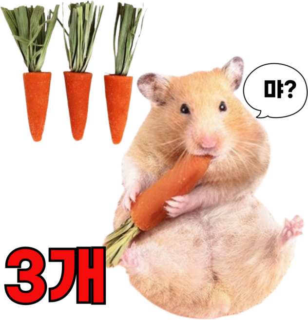 (best상품) 이갈이 당근 햄스터이갈이 토끼 기니피그 슈가글라이더 고슴도치 간식 당근이갈이, 1세트
