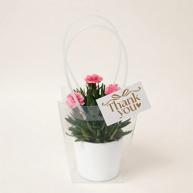 [가정의달] 어버이날 카네이션 화분 선물세트 (심플리+메시지카드+쇼핑백 풀구성), 1개, 카네이션 핑크 & 화분 화이트