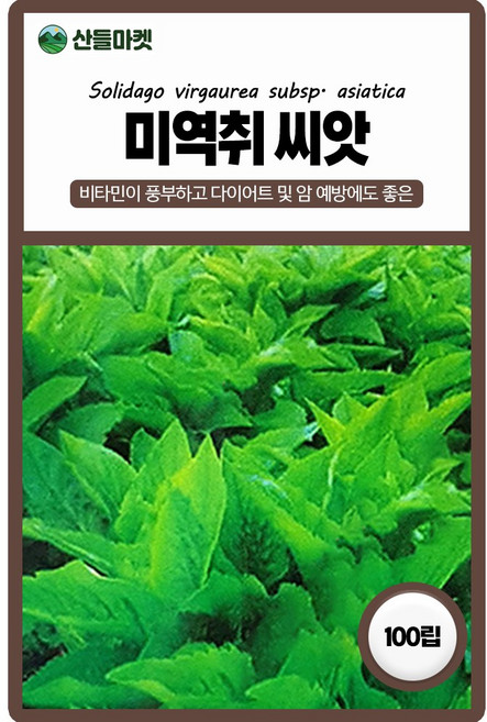 아람종묘 미역취 씨앗 100립 토종 미역취씨 약초 종자, 1개