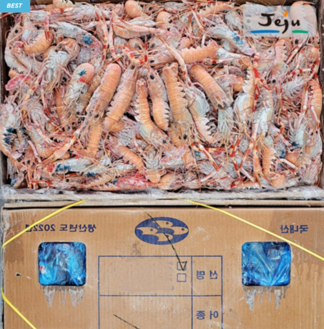 제주 딱새우 도매 1박스 16kg 5kg 10kg 한겨울수매 눈꽃 딱새우 딱새우본사 제주한림수산, 1개, 중소사이즈(육수 및 찌개전용)5Kg