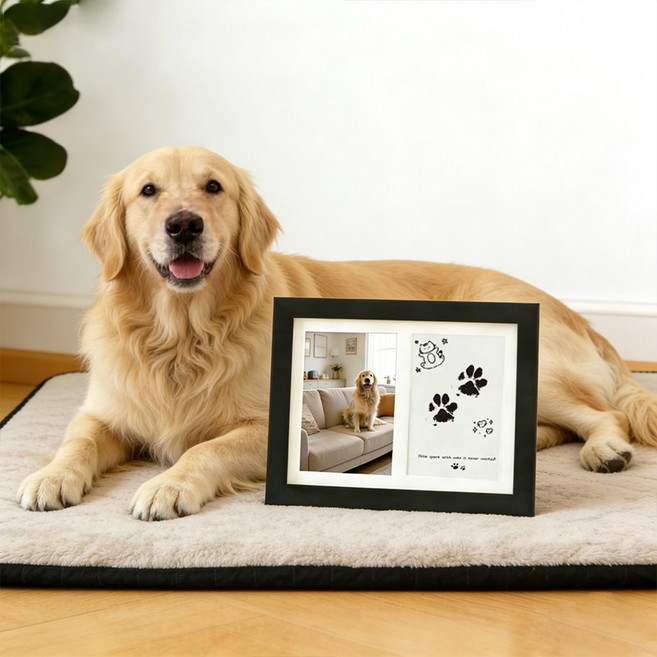 쬬린 무잉크 펫 발자국 기념 액자, 블랙, 1개