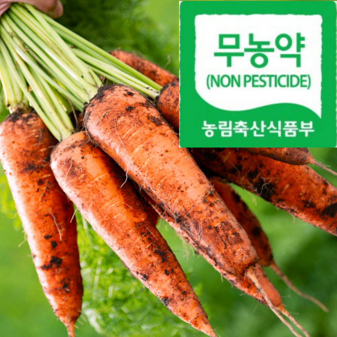[유명친환경농장] 산지발송초특가 농약안심 믿고먹는 흙당근, 1박스, 5kg(100g이상)