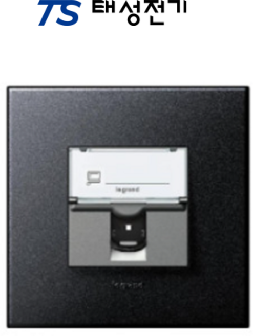 태성전기 르그랑 유럽 아테오 8p 1구 그라파이트