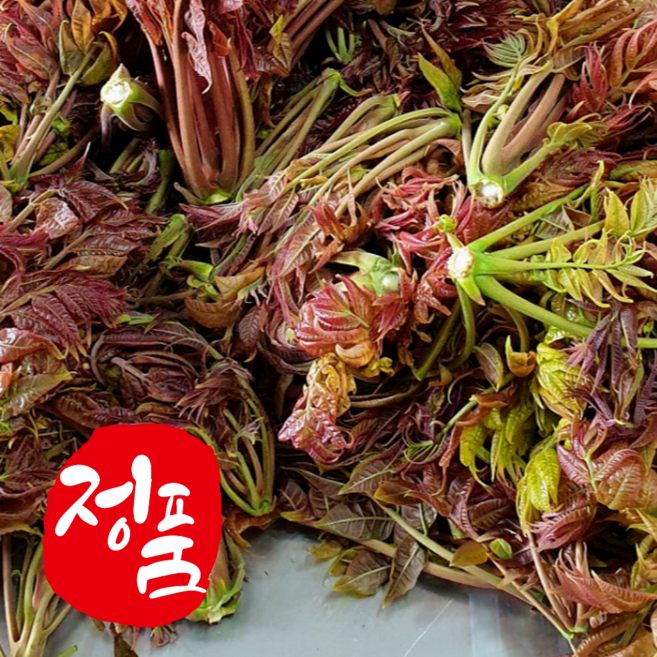 [4월한정] 당일수확 유기농 가죽나물 참죽나무순, 1박스, 5kg