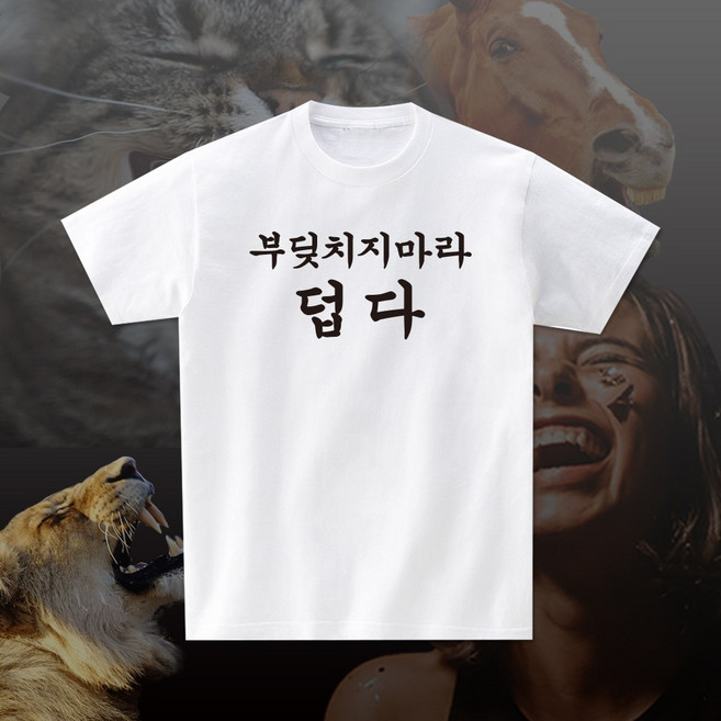 부딪치지마라덥다 재밌는 단체 선물 티셔츠