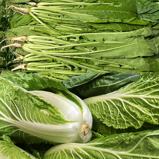 얼갈이+열무 4kg+4kg, 1개, 8kg