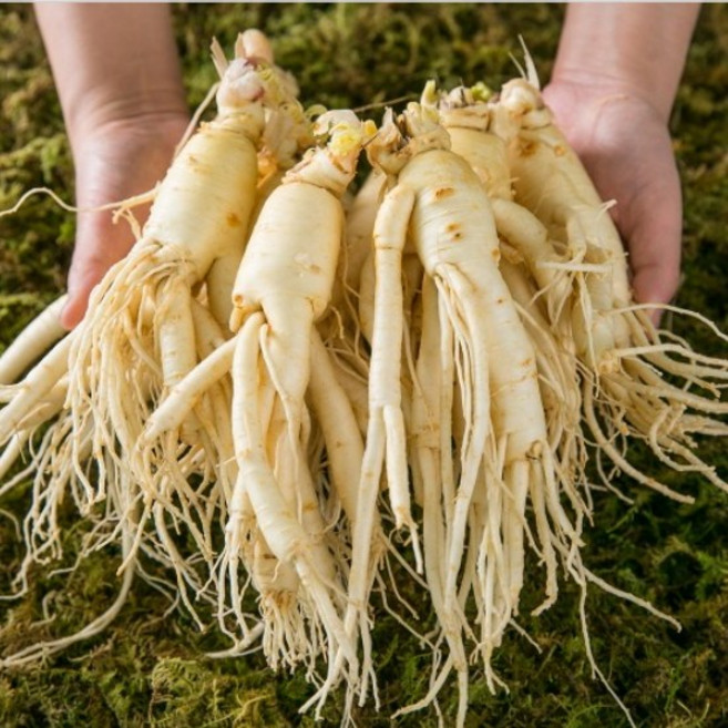 햇수삼 국내산 5년근 6년근 세척 난발삼 대, 200g, 1개