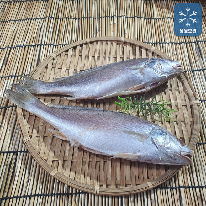 국내산 자연산 제수용 수조기 30cm 내외 2마리, 1개, 500g