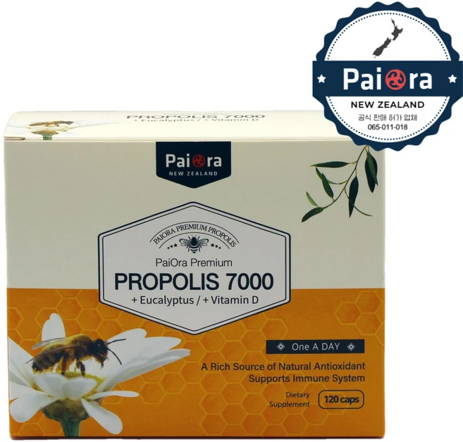 뉴질랜드 프로폴리스 120캡슐 고농축 유칼립투스 효능 건강식품 비타민, 1개, 120정 - 쿠팡