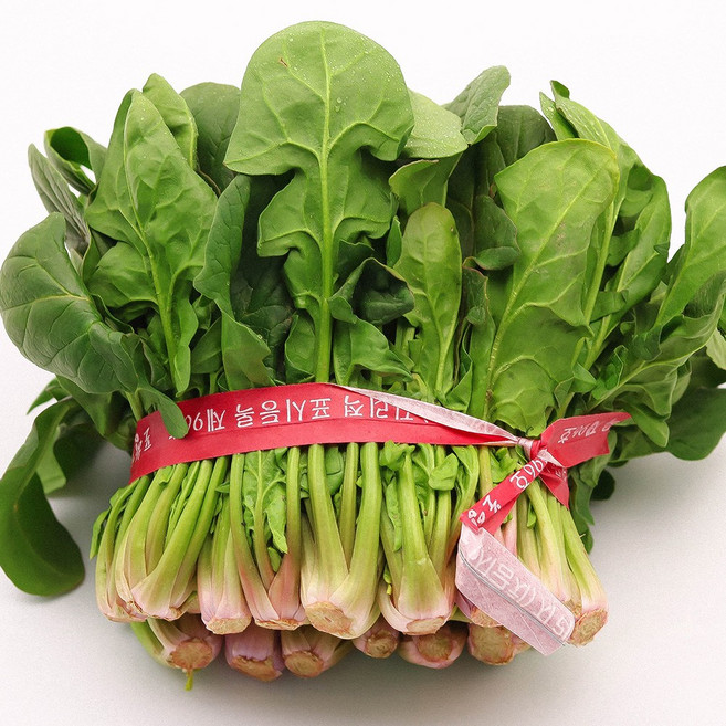 국내산 노지 포항초 섬초 보물초, 360g, 2개