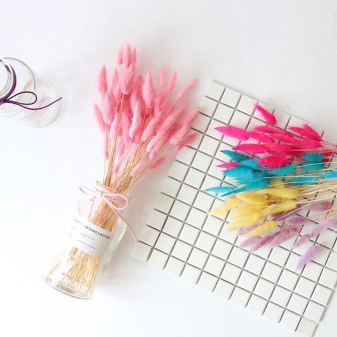 가을 장식 강아지풀 드라이플라워 프리저브드 라그라스 인테리어 소품 디자인 아이디어 상품, 민트