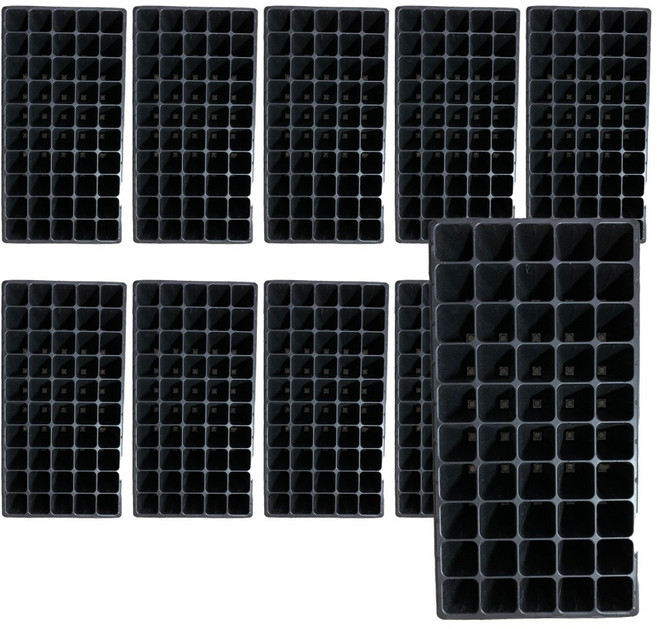 모종트레이 깊은50구 10개 묶음
