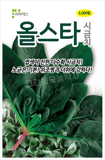 올스타 시금치 2000립 시금치 씨앗 종자 배추 김장 텃밭 모종, 1개