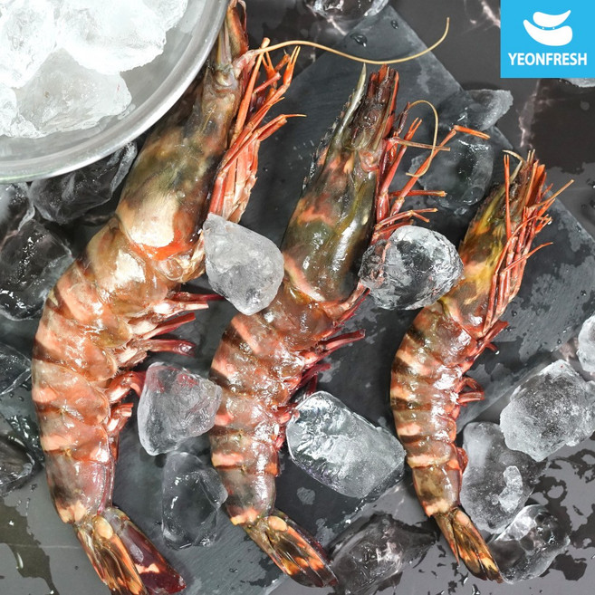 [연프레시] 블랙타이거새우 500g(냉동), 1개, 15미 (500g)