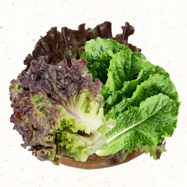 상추 친환경 청상추 적상추 신선채소 모듬쌈, 1kg, 1개, 혼합상추