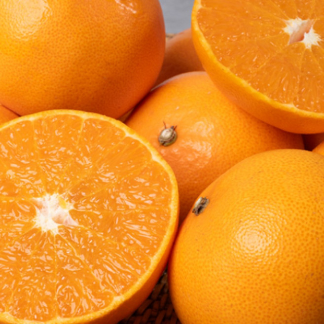 제주 천혜향, 1박스, 10kg