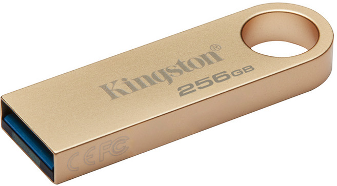 Kingston 金士頓 256G DataTraveler SE9 G3 Type-C USB 3.2 隨身碟 公司貨, 1個, 256GB