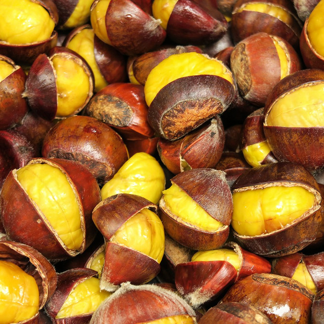 25년 햇 약단밤 칼집밤 군밤 단밤, 1kg, 1개