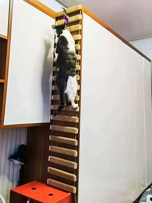 고양이 등반 사다리 로프 캣타워 벽타기 오르기 구름사다리 스크래처 2m 업그레이드