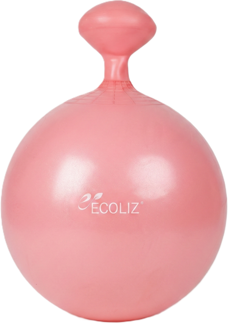 에코리즈 밸런스 짐볼, 55cm 인디핑크