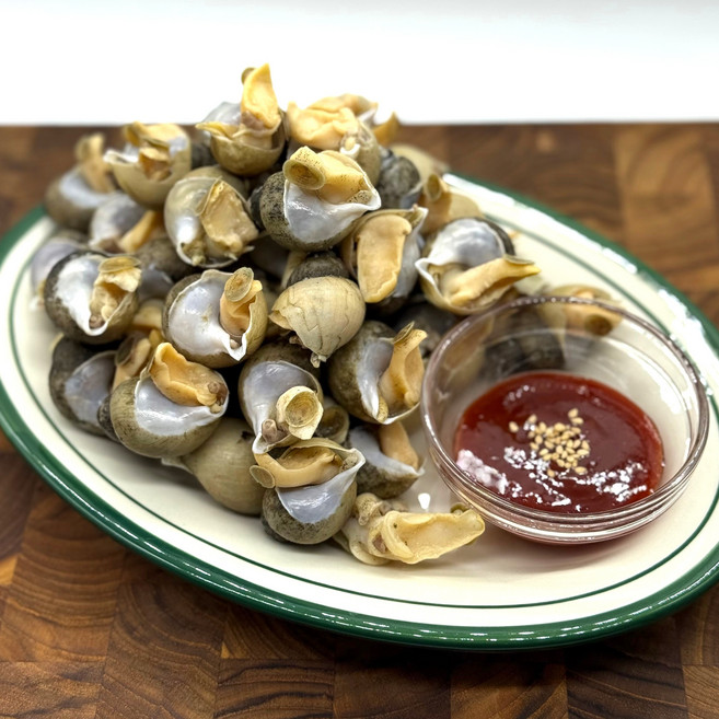 [자연산] 쫄깃 동해안 흑골뱅이, 1개, 흑고동 1kg/70~80미 내외