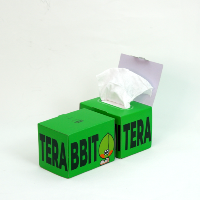 화이트래빗 뽑아쓰는 홀 화장솜, 100매입, 5개