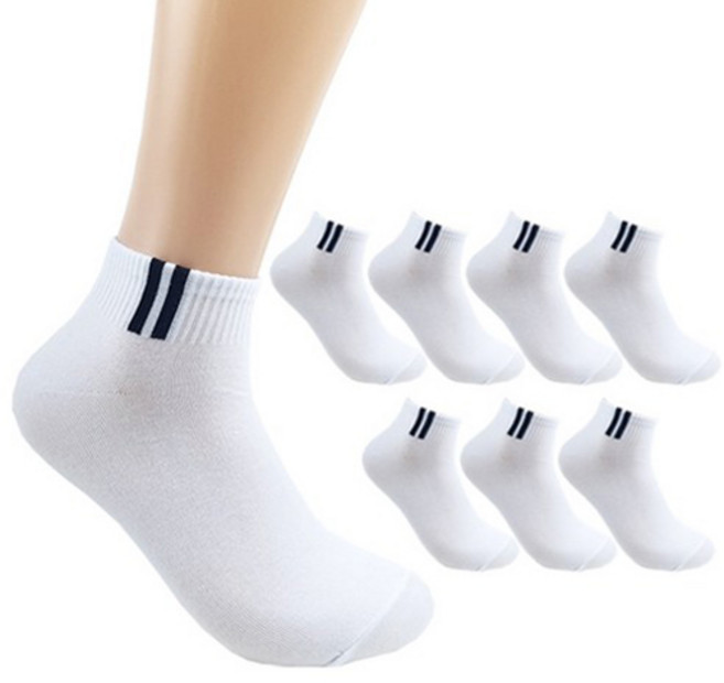 더베이직 남성용 프리미엄 포인트 챔프 단목 양말