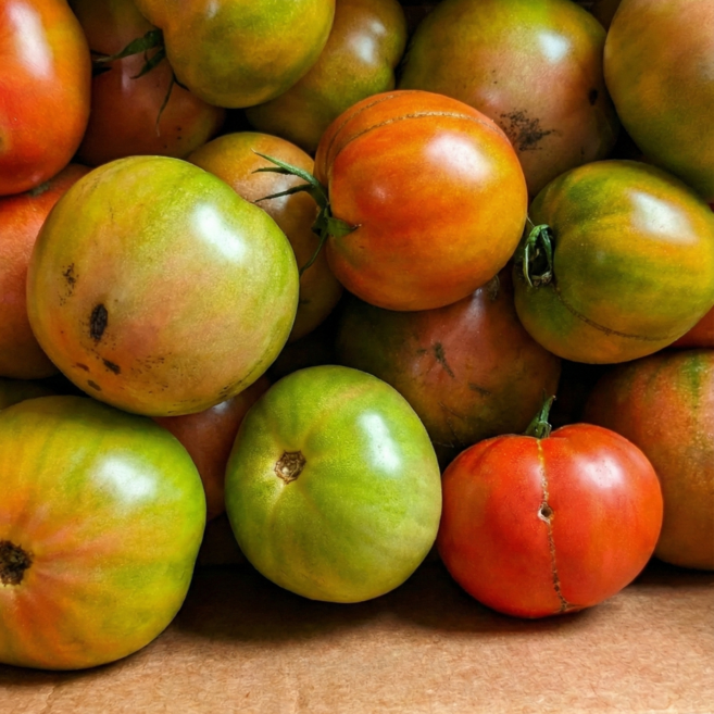 [타임초특가] 대저 토마토 짭짤이 단짠단짠 농장발송, 1박스, 대저토마토 2.5kg 못난이 랜덤과