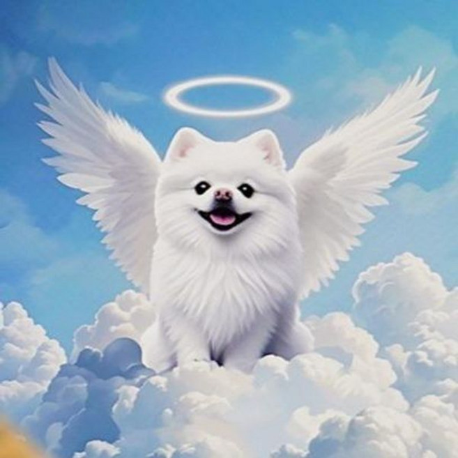 소울메모리볼 크리스탈공비디오 추억보관 수정구 스페셜 메모리볼 오퍼 소울 고화질스크린 소가죽끈 크리스탈볼, 단일 그림, 1개, 1TB