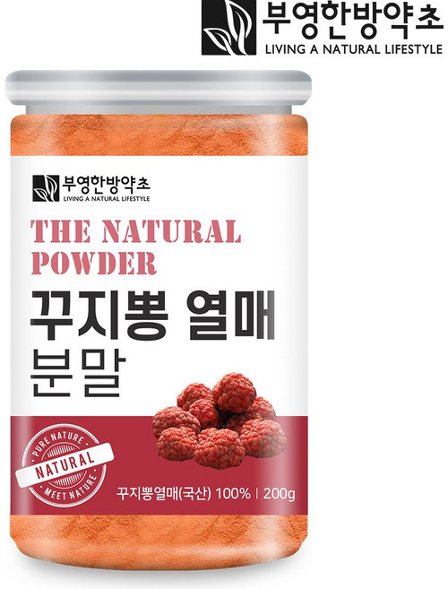 부영한방약초 국산 꾸지뽕열매 가루, 200g, 1개
