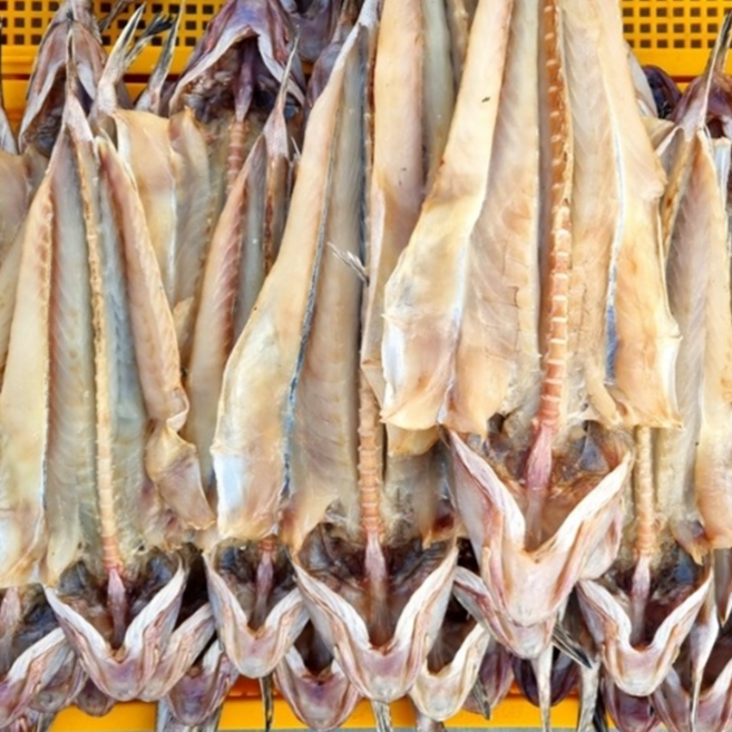양태 3미 4미 장대 고흥 나로도 국내산 말린생선 반건조생선 제수용, 1개, 800g 내외, 양태3미