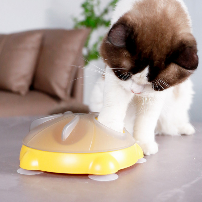 JcOuni 고양이/강아지 회전 노즈워크 슬로우피드 장난감 간식 놀이 + 지능 자극, 1개, 노란색