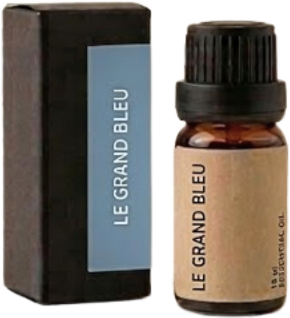 라이즐 디퓨저 리필 오일 스톤 규조토 디퓨저용 (그랑 블루), 1개, 10ml