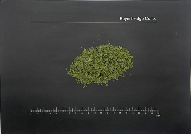건조된 유럽산 유기농 샐러리 잎 Apium graveolens 100g