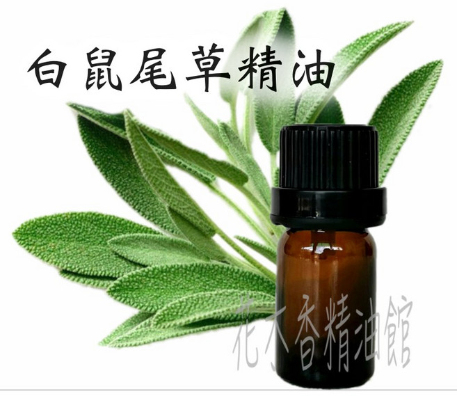 白鼠尾草精油, 1個, 10ml