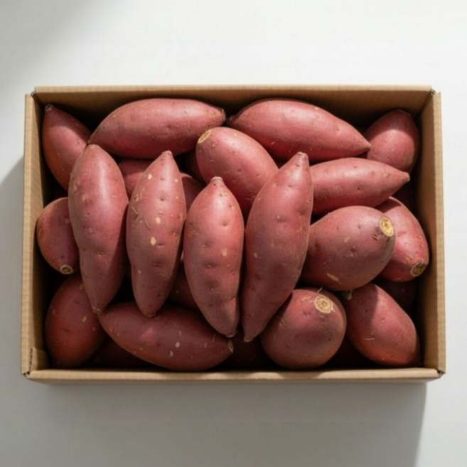 세척 프리미엄 해남 고구마 꿀고구마 중사이즈, 1개, 10kg