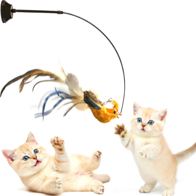 스마일플로우 진짜같은 전설새 낚시대 풀세트 고양이 최애 튼튼 고정 장난감, 1세트, 골드 새