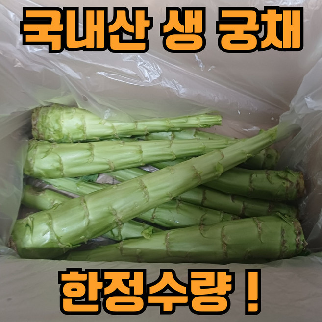 [한정수량] 국산 궁채 생궁채, 1개, 1kg