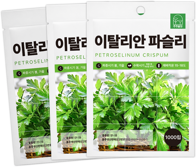 [주주씨앗] 이탈리안 파슬리 씨앗 1000립 허브채소 향나물 종자 씨앗몰, 3개