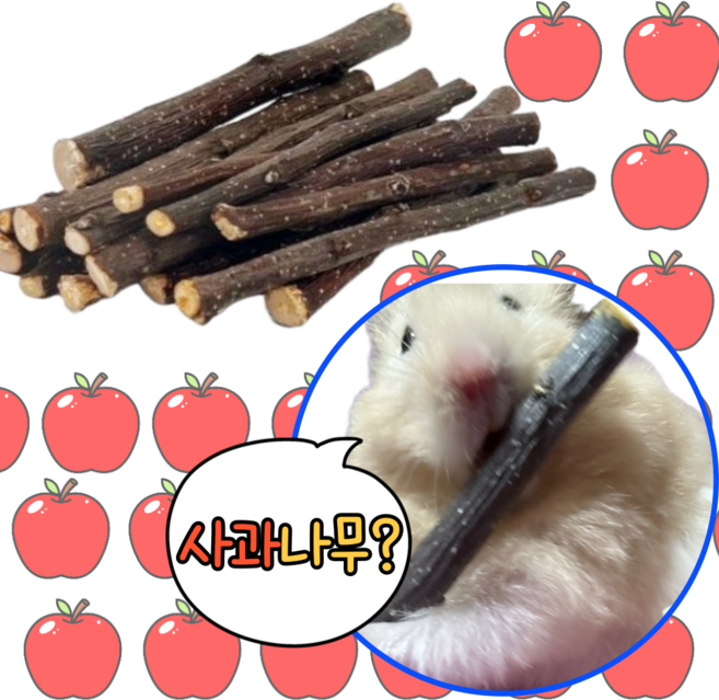 (best) 사과나무 이갈이 햄스터 기니피그 소동물 이갈이, 50g, 1개
