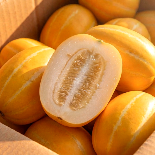 [딱3일초특가] 성주 꿀 참외 랜덤과, 1박스, 5kg