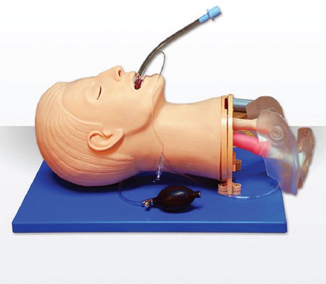 기도확보 실습모형 my-51 라링고스코프포함 구강 비강 삽관실습 폐확장기능 동공확대검사 Air-Way 응급처치교육