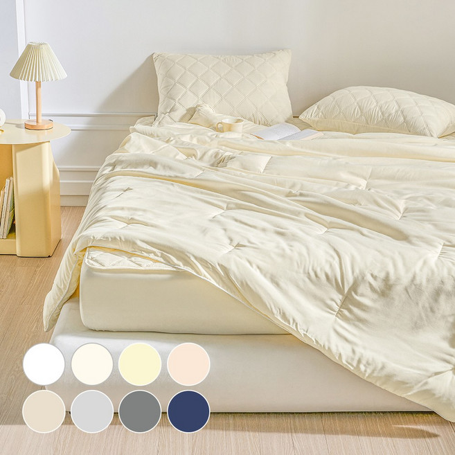 데시뉴 뉴노멀 항균 사계절 다운필 차렵이불