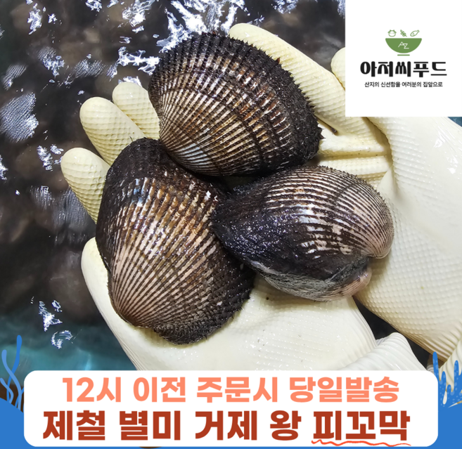 거제 왕 피꼬막 산지직송 당일조업 대왕 횟감 꼬막 비빔밥 초밥 무침, 1박스, 왕 피꼬막 3kg(50미내외)