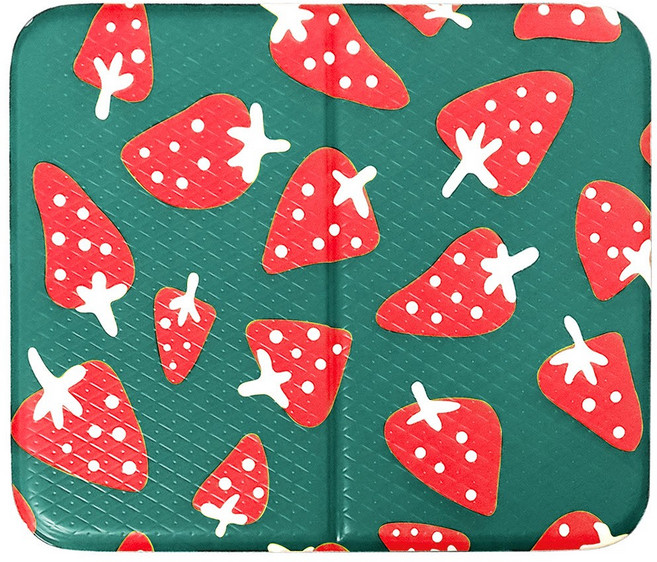 토탈하우스 딸기방석 사우나방석 접이식방석 목욕방석 휴대용방석 1인용 쿠션방석 다용도미니매트, 그린