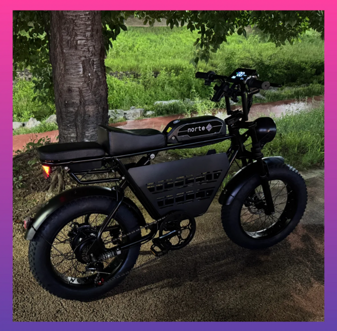 노르테 전기 자전거 자토바이 전동 스쿠터 팻바이크 MTB 배달용 출퇴근용, S1 럭셔리, 스틸