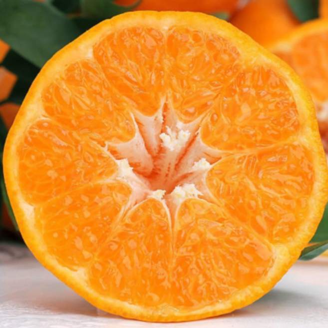 [하루딱20박스판매] 당도선별 못난이 제주 한라봉, 1박스, 3kg