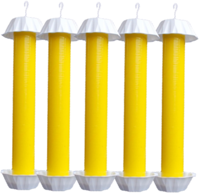 초파리트랩 파리끈끈이 날파리용 플라이스틱 필요회복, 1개입, 5개